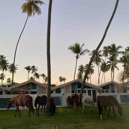 *New Campomar Beachfront 2Bdrm Villa In Arroyo Exterior foto