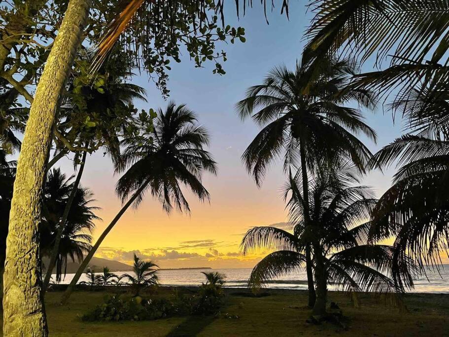*New Campomar Beachfront 2Bdrm Villa In Arroyo Exterior foto
